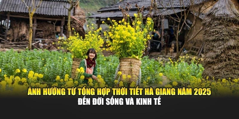 Ảnh hưởng từ tổng hợp thời tiết Hà Giang năm 2025 đến đời sống và kinh tế
