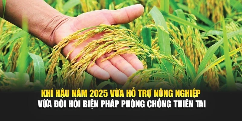 Kh&iacute; hậu năm 2025 vừa hỗ trợ n&ocirc;ng nghiệp vừa đ&ograve;i hỏi biện ph&aacute;p ph&ograve;ng chống thi&ecirc;n tai