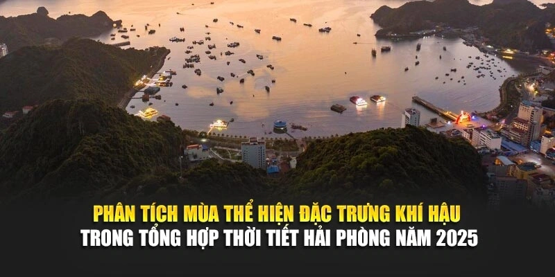 Ph&acirc;n t&iacute;ch m&ugrave;a thể hiện đặc trưng kh&iacute; hậu trong tổng hợp thời tiết Hải Ph&ograve;ng năm 2025