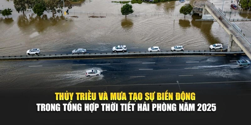 Thủy triều v&agrave; mưa tạo sự biến động trong tổng hợp thời tiết Hải Ph&ograve;ng năm 2025