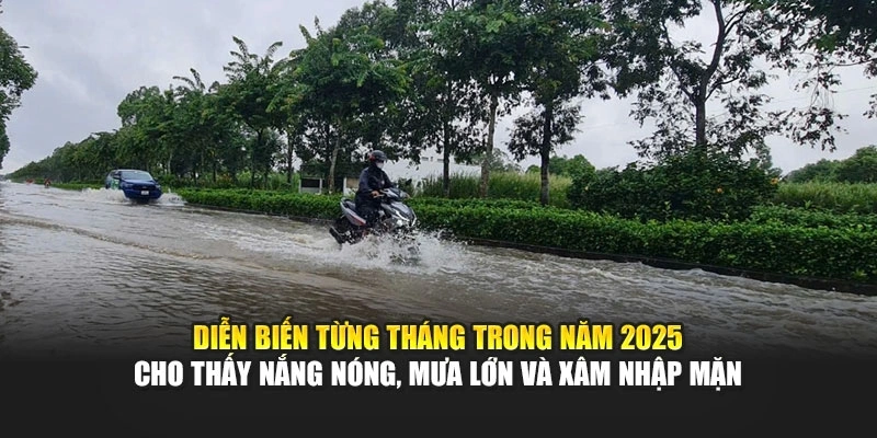 Diễn biến từng tháng trong năm 2025 cho thấy nắng nóng, mưa lớn và xâm nhập mặn