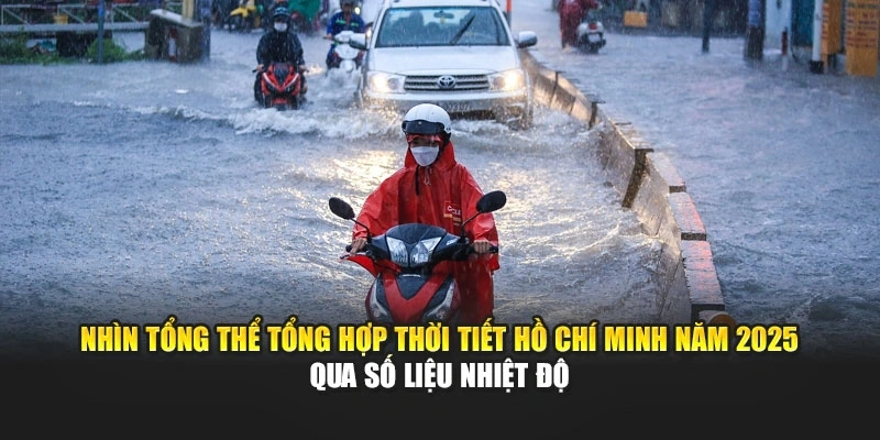 Nhìn tổng thể tổng hợp thời tiết Hồ Chí Minh năm 2025 qua số liệu nhiệt độ