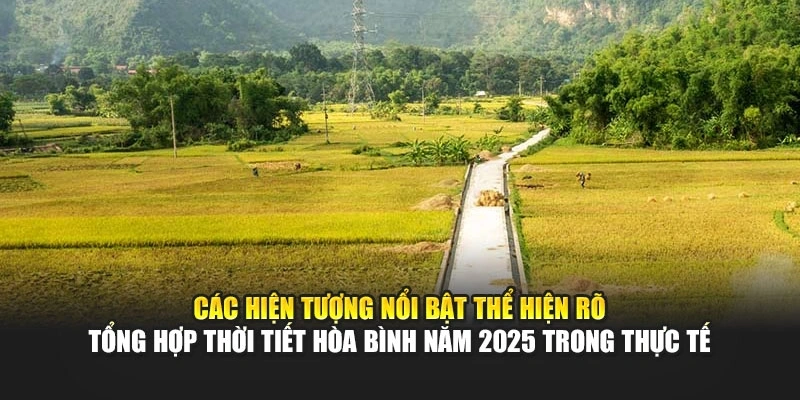 C&aacute;c hiện tượng nổi bật thể hiện r&otilde; tổng hợp thời tiết H&ograve;a B&igrave;nh năm 2025 trong thực tế