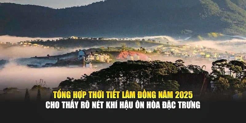 Tổng hợp thời tiết Lâm Đồng năm 2025 cho thấy rõ nét khí hậu ôn hòa đặc trưng