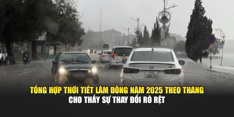 Tổng hợp thời tiết Lâm Đồng năm 2025 theo tháng cho thấy sự thay đổi rõ rệt