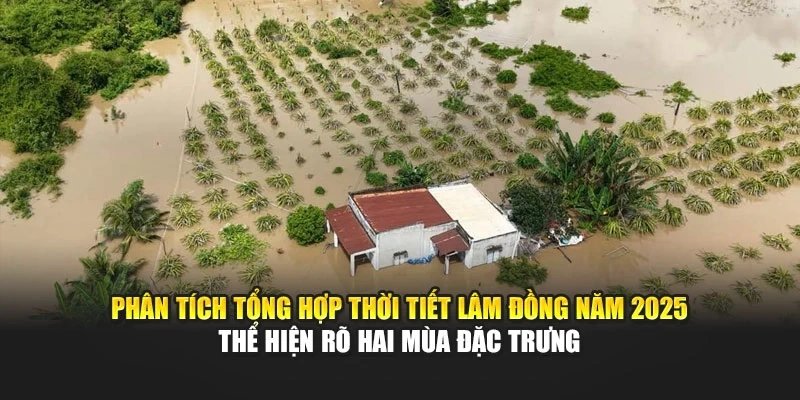 Phân tích tổng hợp thời tiết Lâm Đồng năm 2025 thể hiện rõ hai mùa đặc trưng