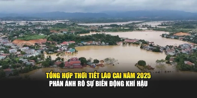 Tổng hợp thời tiết L&agrave;o Cai năm 2025 phản &aacute;nh r&otilde; sự biến động kh&iacute; hậu
