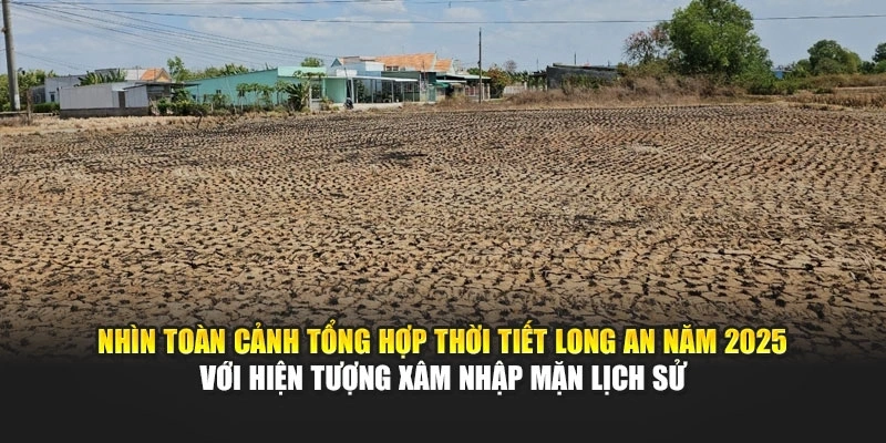 Nhìn toàn cảnh tổng hợp thời tiết Long An năm 2025 với hiện tượng xâm nhập mặn lịch sử