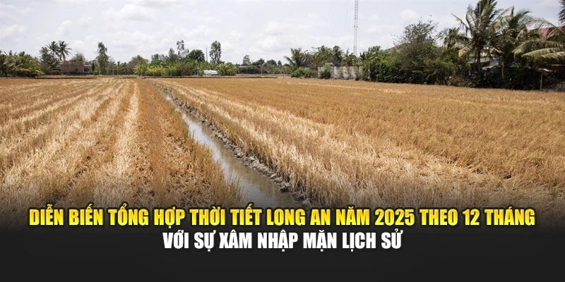 Diễn biến tổng hợp thời tiết Long An năm 2025 theo 12 tháng với sự xâm nhập mặn lịch sử