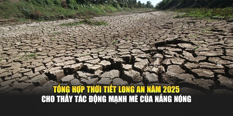 Tổng hợp thời tiết Long An năm 2025 cho thấy tác động mạnh mẽ của nắng nóng