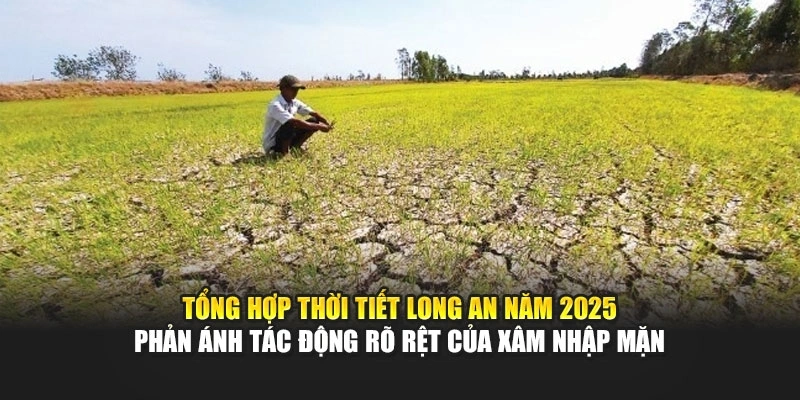 Tổng hợp thời tiết Long An năm 2025 phản ánh tác động rõ rệt của xâm nhập mặn