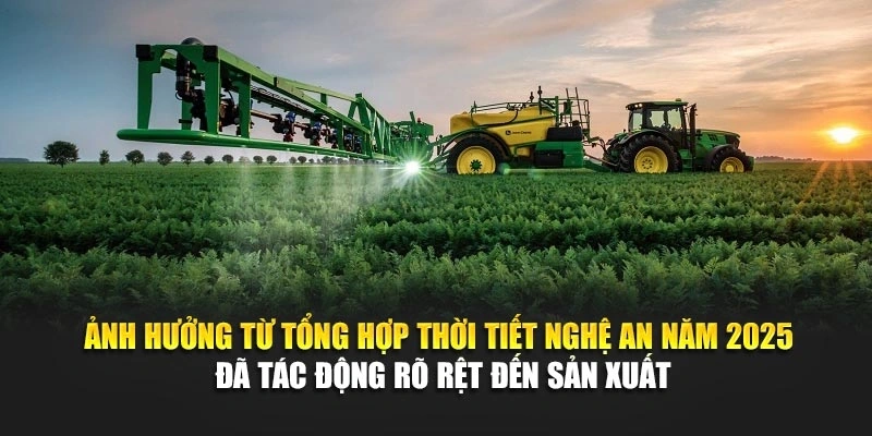 Ảnh hưởng từ tổng hợp thời tiết Nghệ An năm 2025 đã tác động rõ rệt đến sản xuất