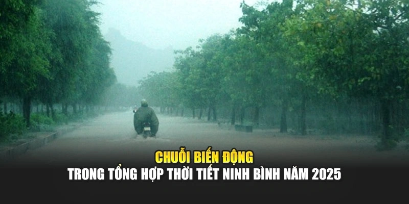 Chuỗi biến động trong tổng hợp thời tiết Ninh B&igrave;nh năm 2025