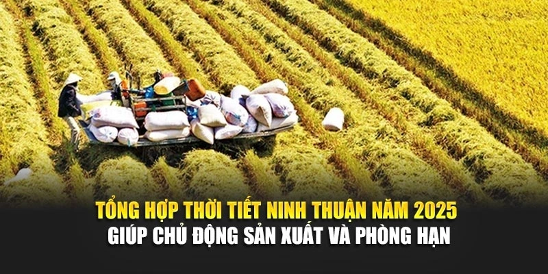 Tổng hợp thời tiết Ninh Thuận năm 2025 giúp chủ động sản xuất và phòng hạn
