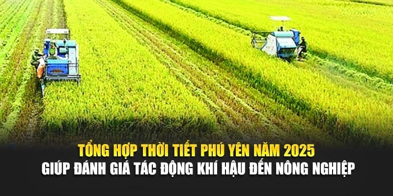Tổng hợp thời tiết Phú Yên năm 2025 giúp đánh giá tác động khí hậu đến nông nghiệp