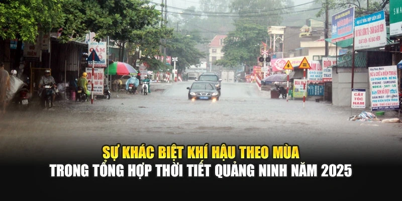 Nhìn lại biến động thời tiết qua tổng hợp thời tiết Quảng Ninh năm 2025