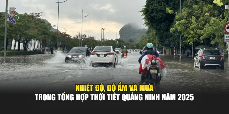 Nhiệt độ, độ ẩm và mưa trong tổng hợp thời tiết Quảng Ninh năm 2025