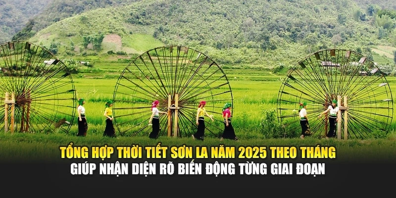 Tổng hợp thời tiết Sơn La năm 2025 theo th&aacute;ng gi&uacute;p nhận diện r&otilde; biến động từng giai đoạn