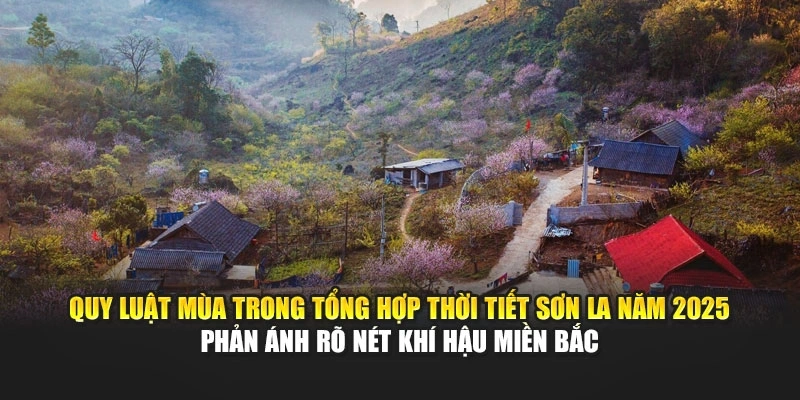 Quy luật m&ugrave;a trong tổng hợp thời tiết Sơn La năm 2025 phản &aacute;nh r&otilde; n&eacute;t kh&iacute; hậu miền Bắc