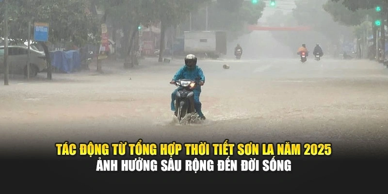 T&aacute;c động từ tổng hợp thời tiết Sơn La năm 2025 ảnh hưởng s&acirc;u rộng đến đời sống