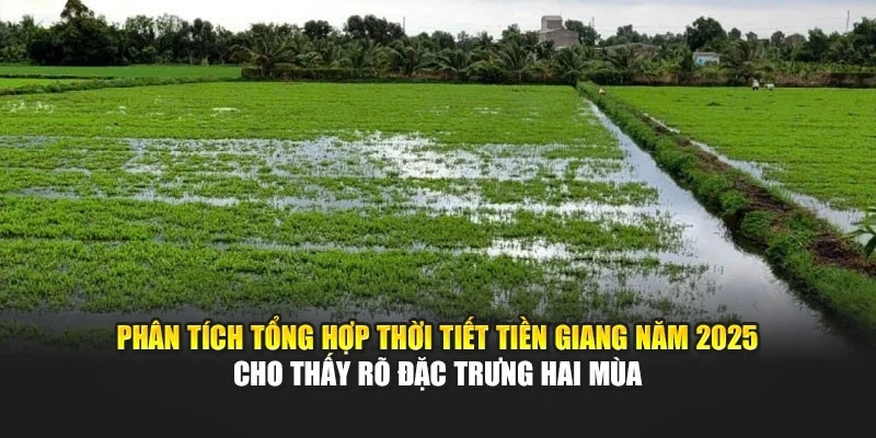 Phân tích tổng hợp thời tiết Tiền Giang năm 2025 cho thấy rõ đặc trưng hai mùa