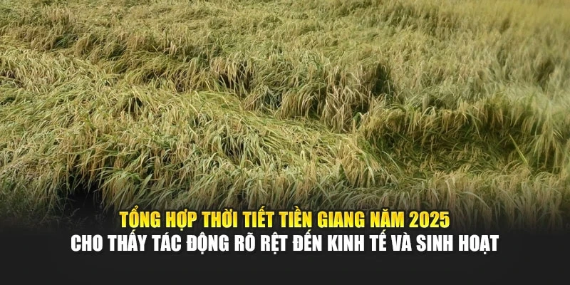 Tổng hợp thời tiết Tiền Giang năm 2025 cho thấy tác động rõ rệt đến kinh tế và sinh hoạt