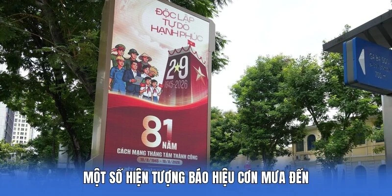 Một số hiện tượng báo hiệu cơn mưa đến 