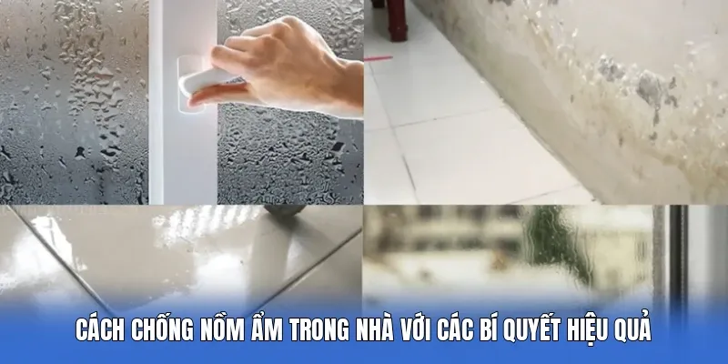 Cách Chống Nồm Ẩm Trong Nhà Với Các Bí Quyết Hiệu Quả