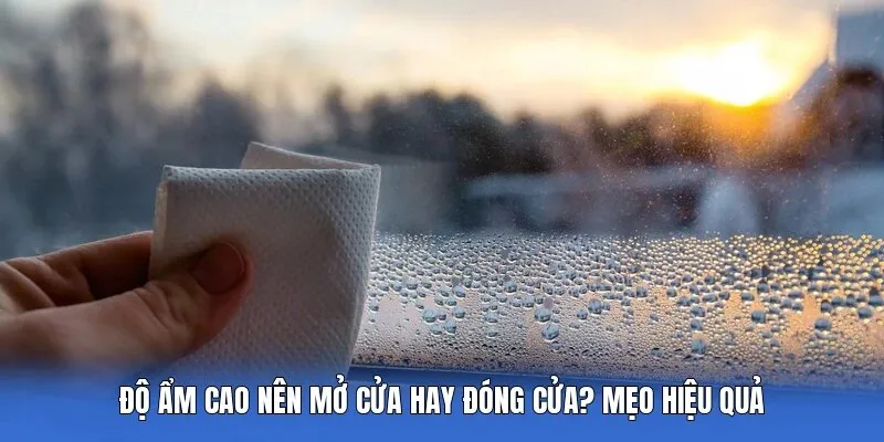 Độ Ẩm Cao Nên Mở Cửa Hay Đóng Cửa? Mẹo Hiệu Quả