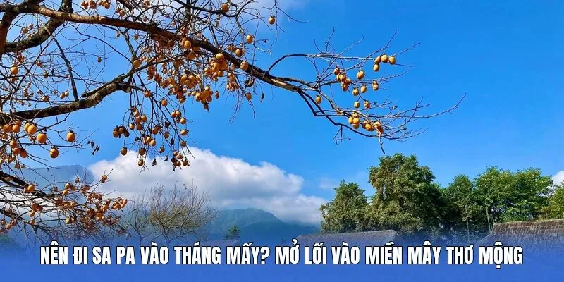 Nên Đi Sa Pa Vào Tháng Mấy? Mở Lối Vào Miền Mây Thơ Mộng