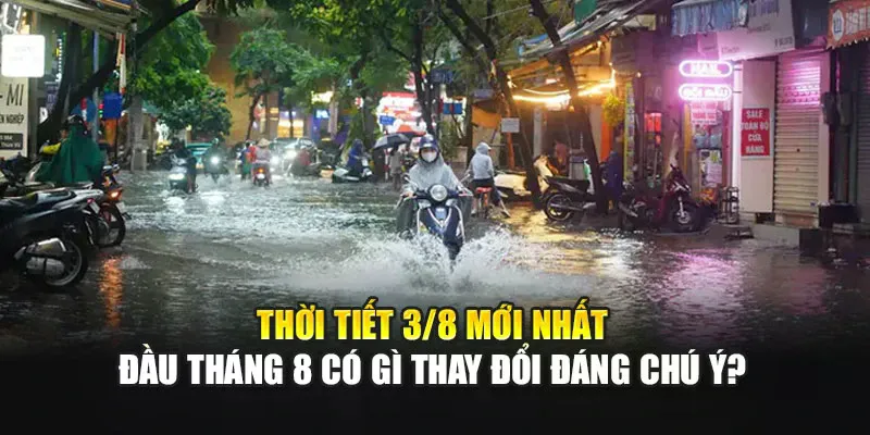 Thời Tiết 3/8 Mới Nhất: Đầu Tháng 8 Có Gì Thay Đổi Đáng Chú Ý?