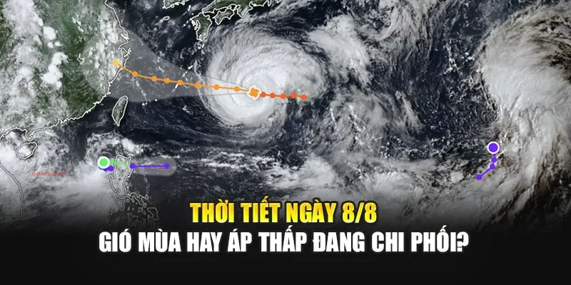 Thời Tiết Ngày 8/8: Gió Mùa Hay Áp Thấp Đang Chi Phối?