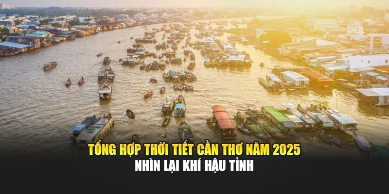 Tổng Hợp Thời Tiết Cần Thơ Năm 2025 - Nhìn Lại Khí Hậu Tỉnh