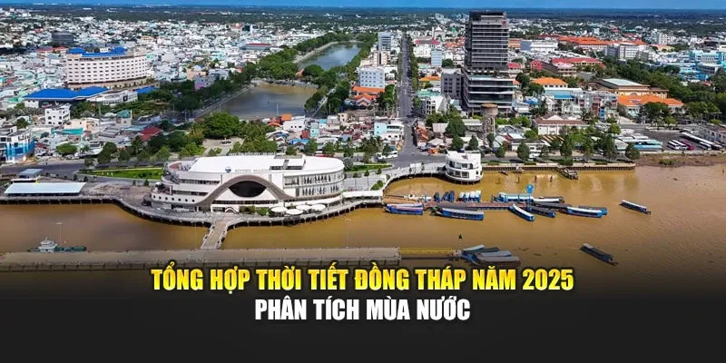 Tổng Hợp Thời Tiết Đồng Tháp Năm 2025 - Phân Tích Mùa Nước