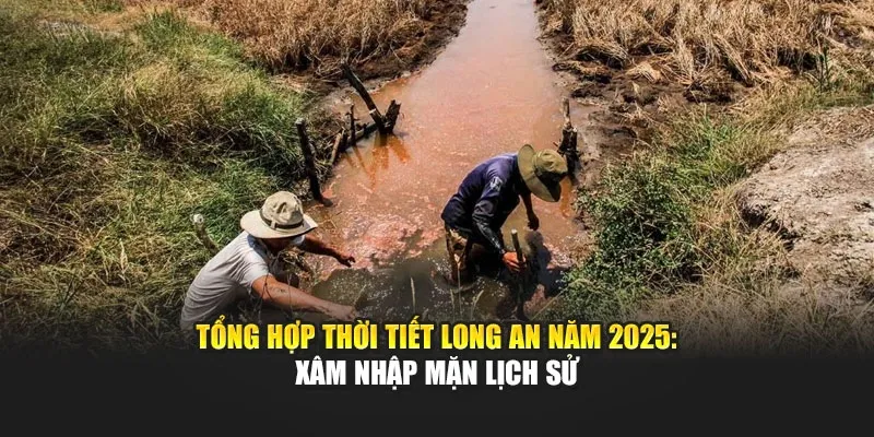 Tổng Hợp Thời Tiết Long An Năm 2025: Xâm Nhập Mặn Lịch Sử
